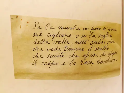 Lucio Piccolo - Poeta dimenticato o genio riscoperto?