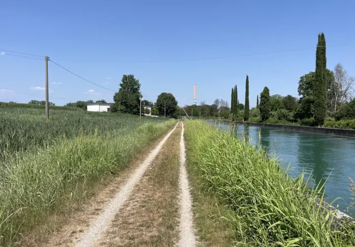 Sentiero sterrato lungo il canale, ideale per la ciclabile Peschiera Lazise. Vegetazione rigogliosa e cielo azzurro.