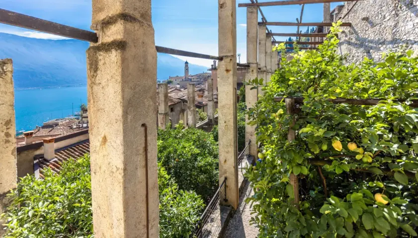 Vista dalla limonaia del castel, con alberi di agrumi e il lago sullo sfondo.