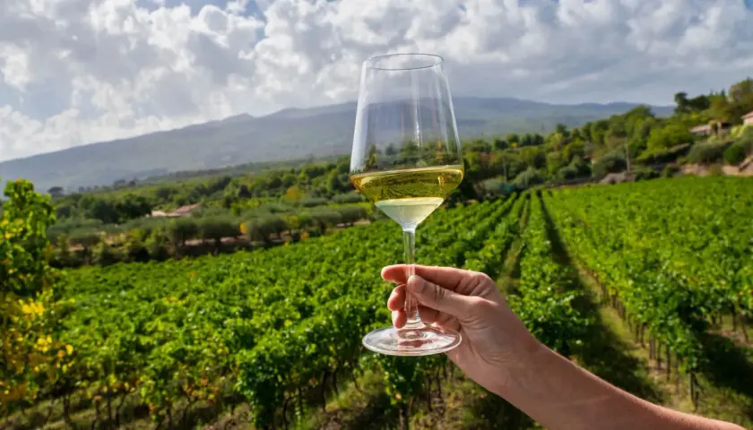 Un bicchiere di vino bianco in primo piano, con vigneti rigogliosi e l'Etna sullo sfondo. Un'esperienza di wine tasting indimenticabile.